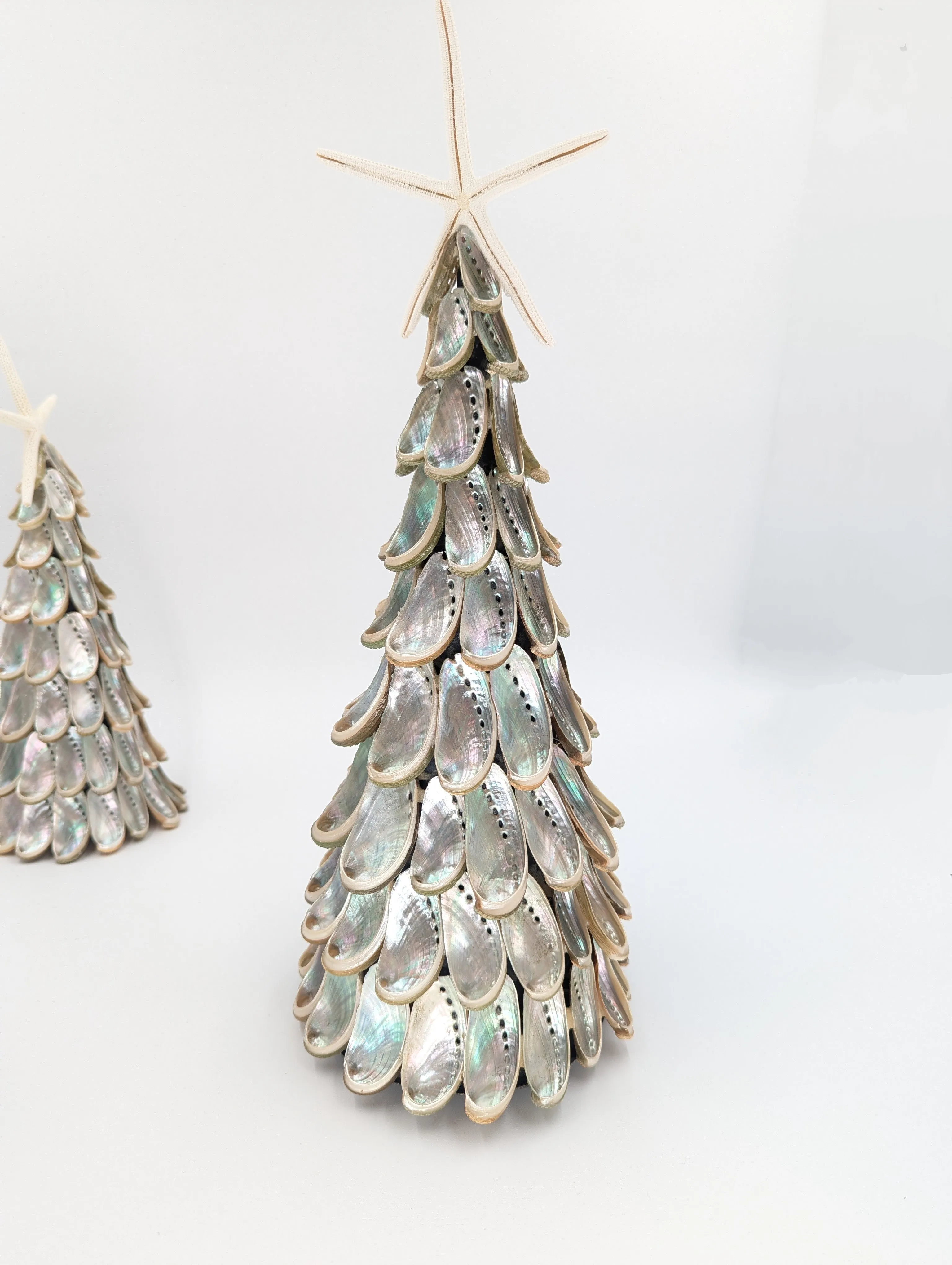 14" Abalone Shell Tree w/ Star Topper