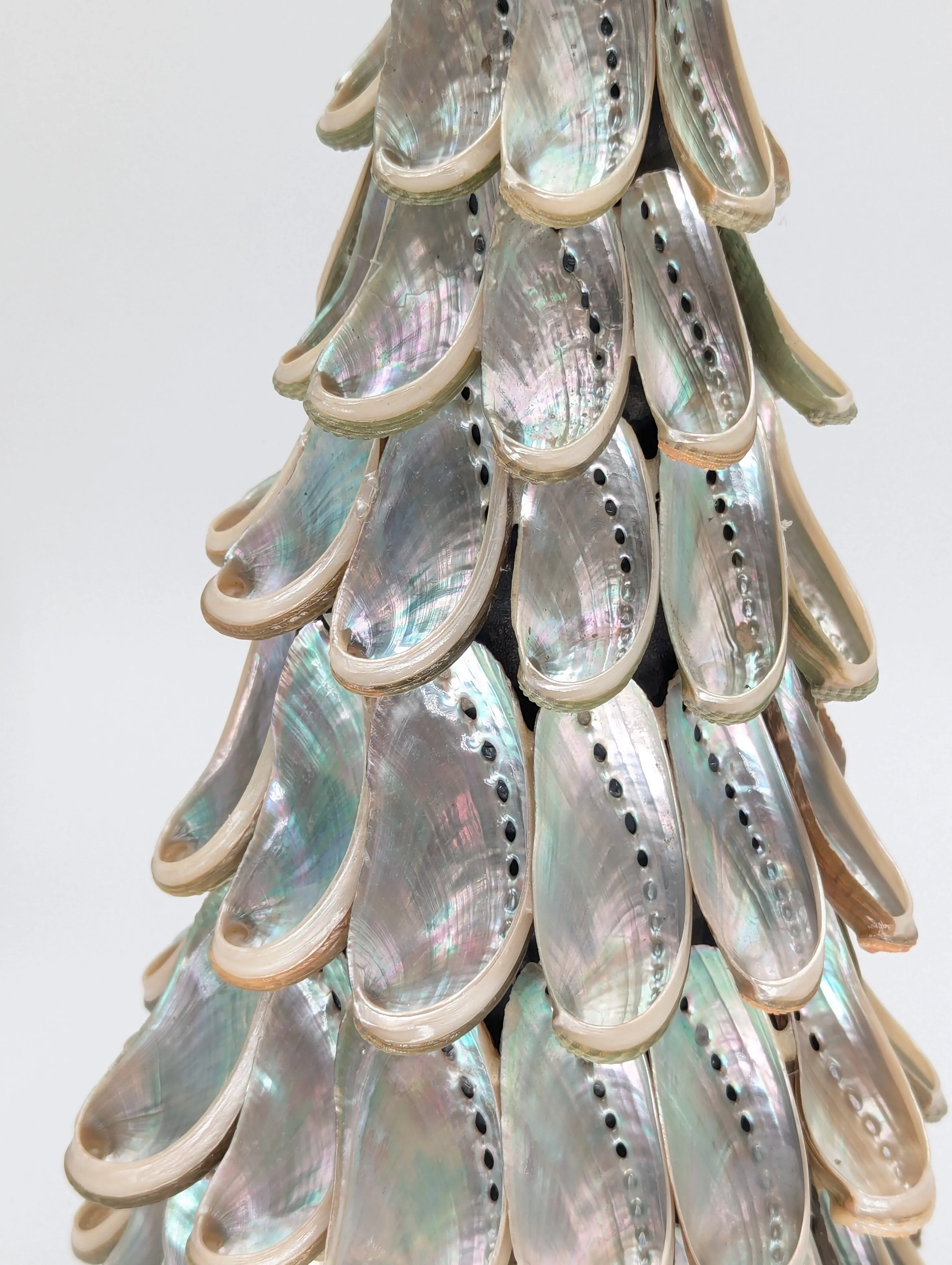 14" Abalone Shell Tree w/ Star Topper