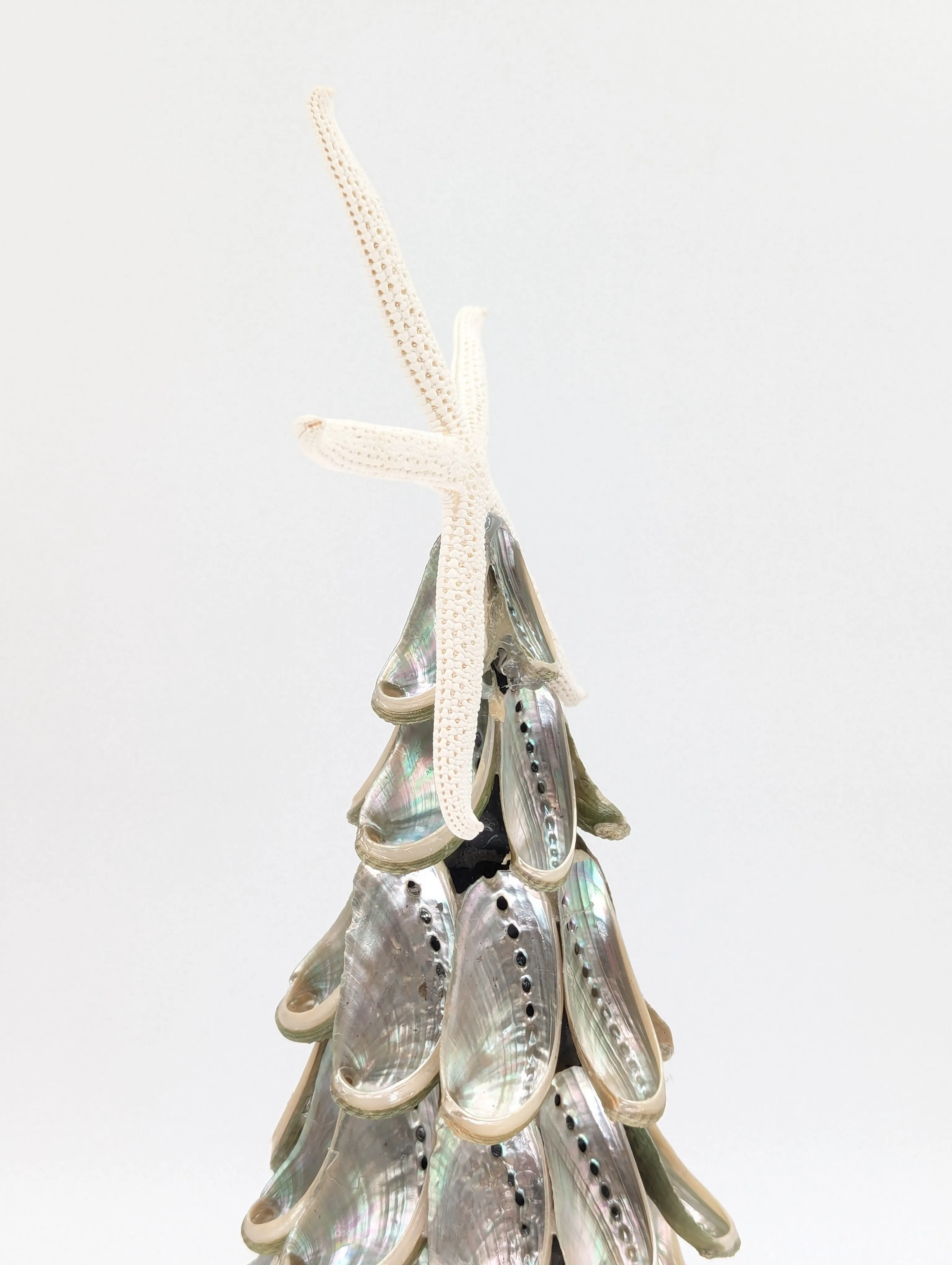 14" Abalone Shell Tree w/ Star Topper
