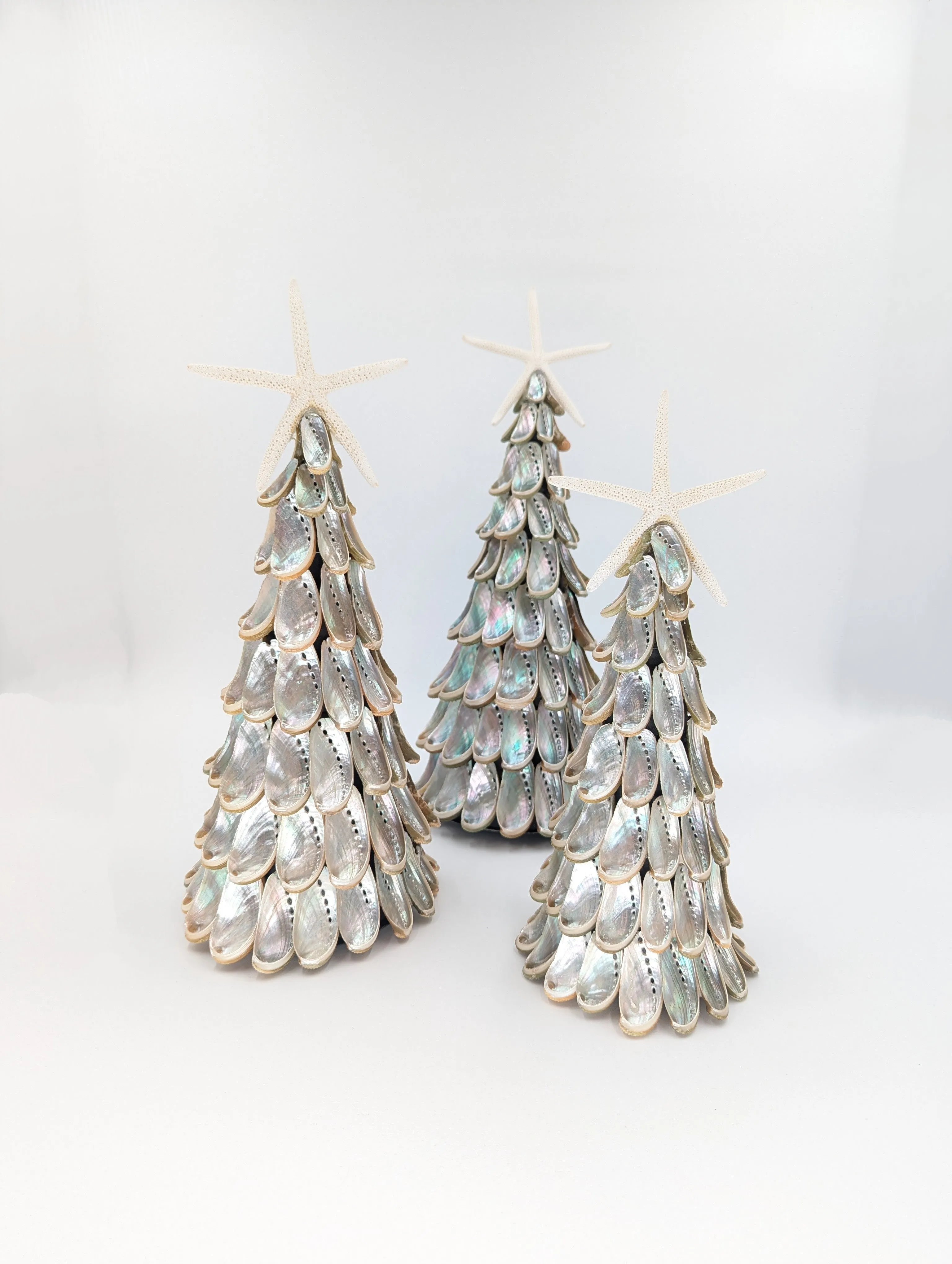 14" Abalone Shell Tree w/ Star Topper