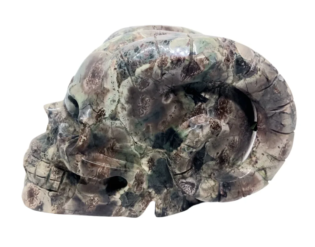 665g Green Flower Jasper Crystal Horned Skull