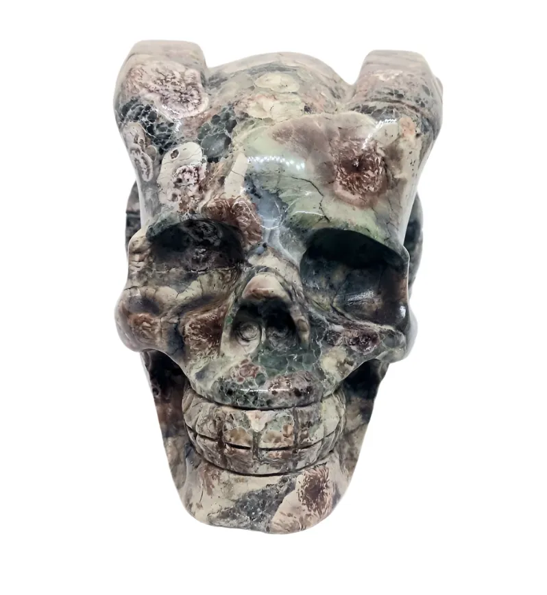 665g Green Flower Jasper Crystal Horned Skull