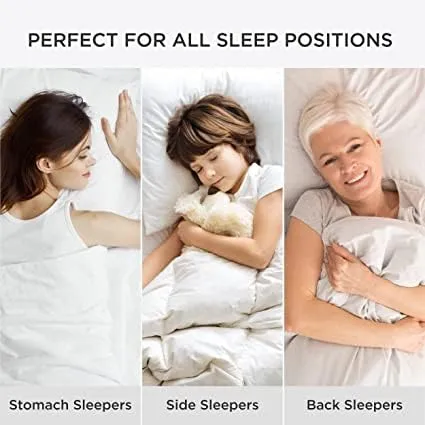 AG A BN Bed Pillows Full Size Set Of 2, Cooling And Supportive Standard Pillow 2 Pack For Side And Back Sleepers, Down Alternative Hotel Collection Sleeping Pillows, 26X16 In