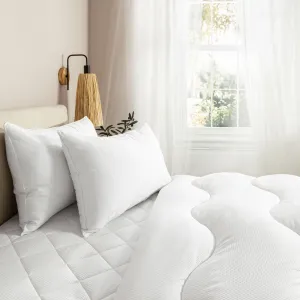 Breathe® Cotton-Covered Pillow