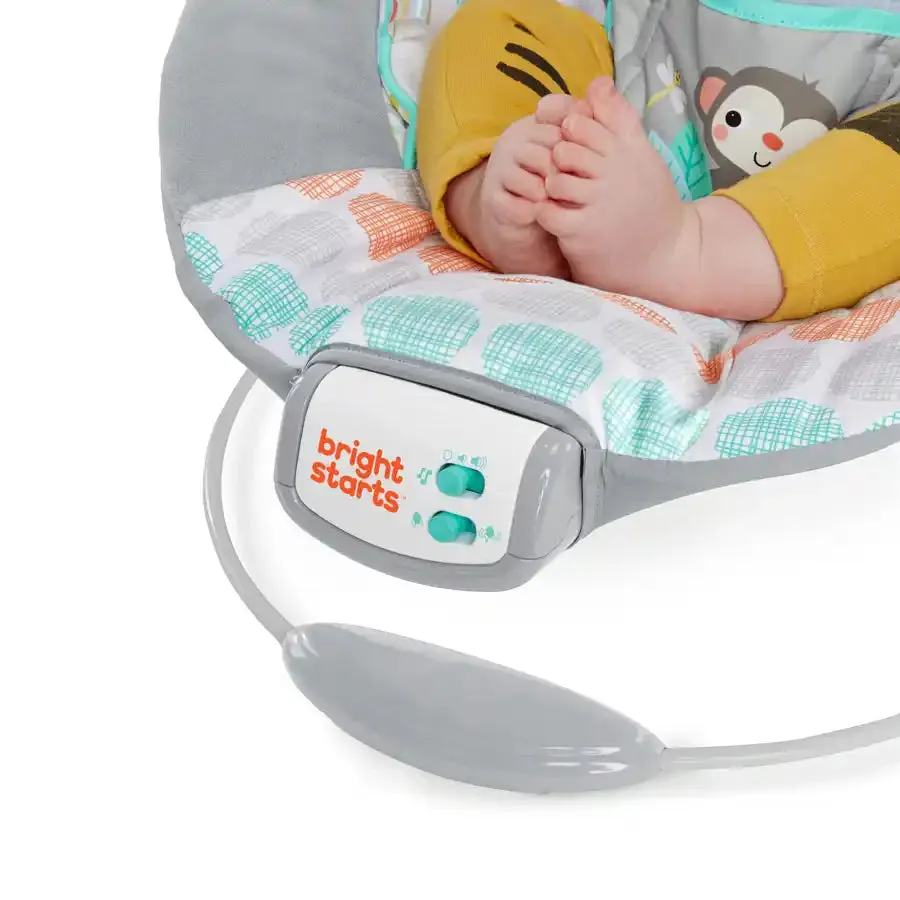 Bright Starts Whimsical Wild Comfy Bouncer