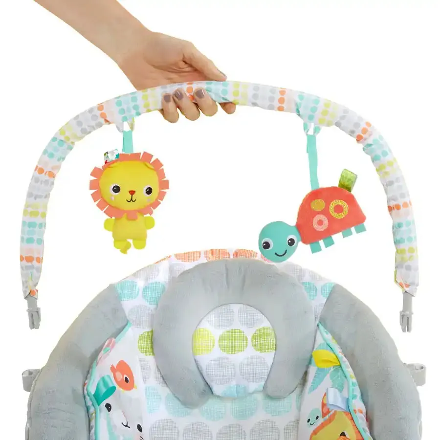 Bright Starts Whimsical Wild Comfy Bouncer