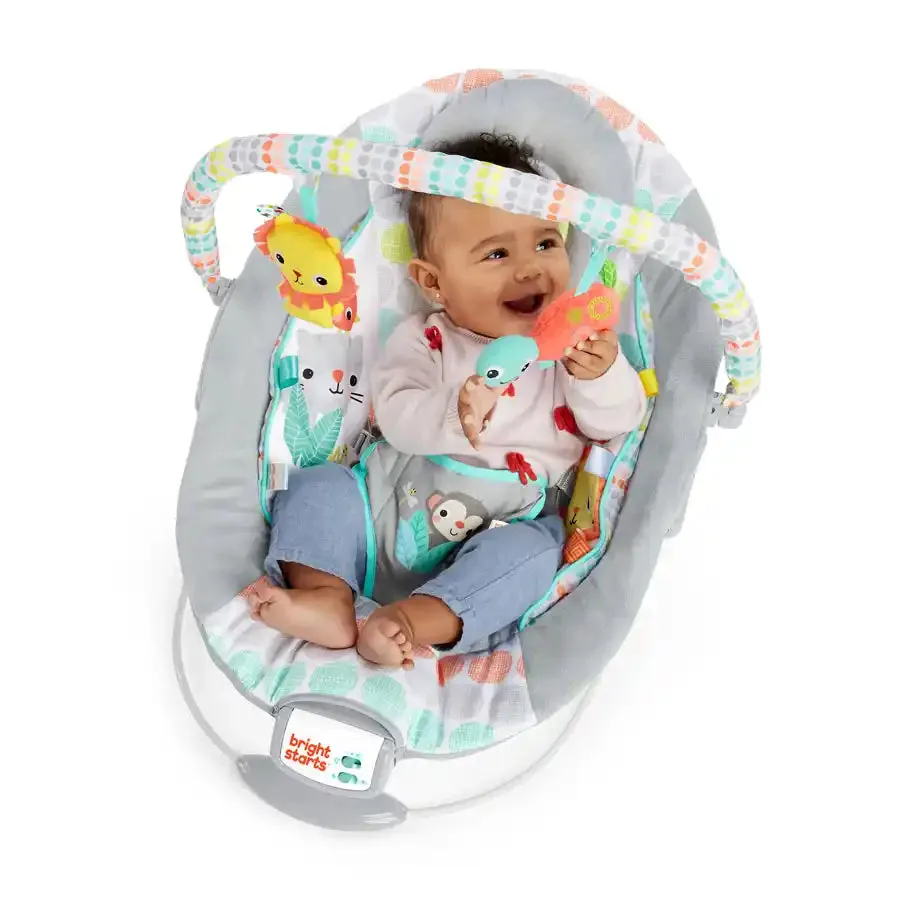 Bright Starts Whimsical Wild Comfy Bouncer
