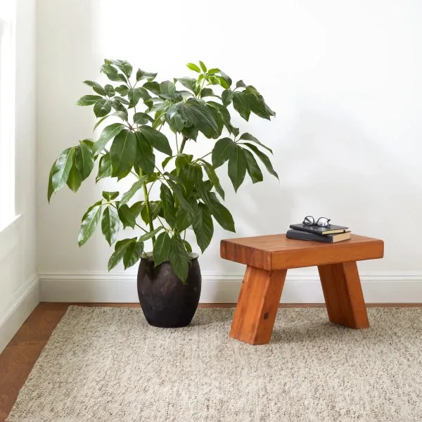Dash & Albert Loggia Handwoven Wool Rug