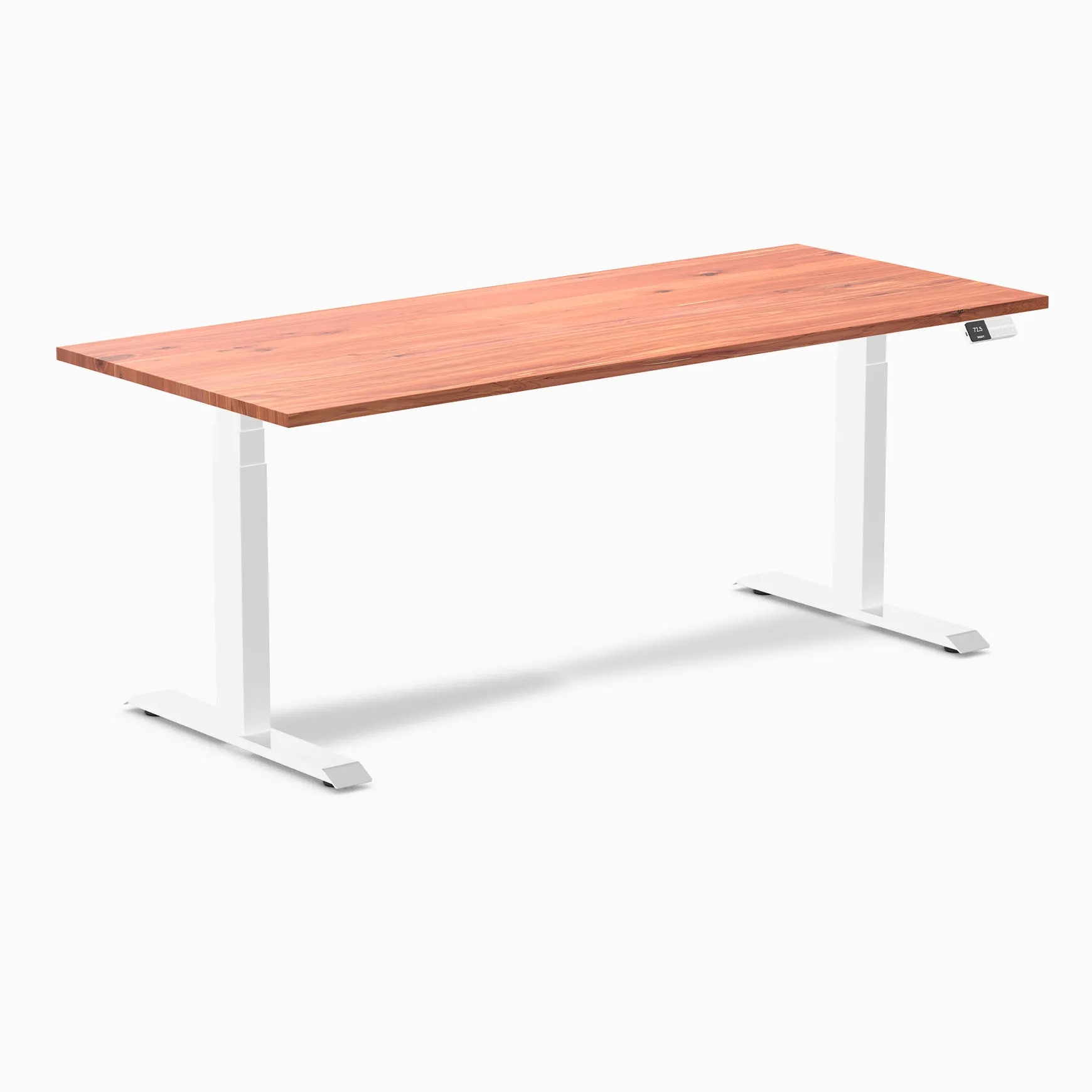 Desky Dual Softwood Sit Stand Desk