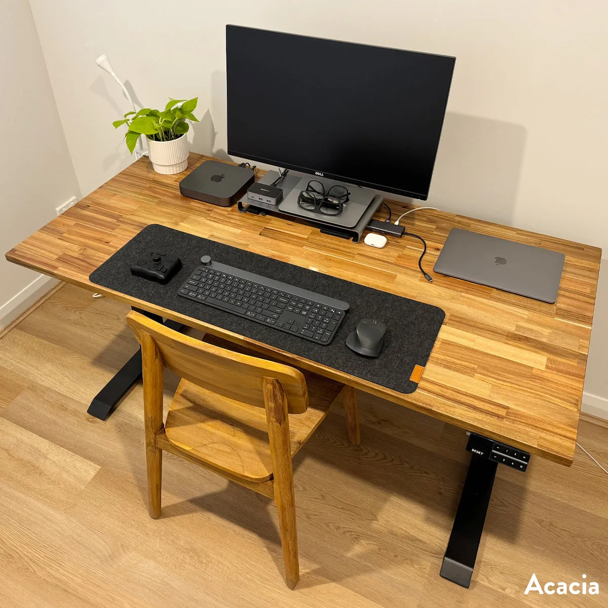 Desky Dual Softwood Sit Stand Desk