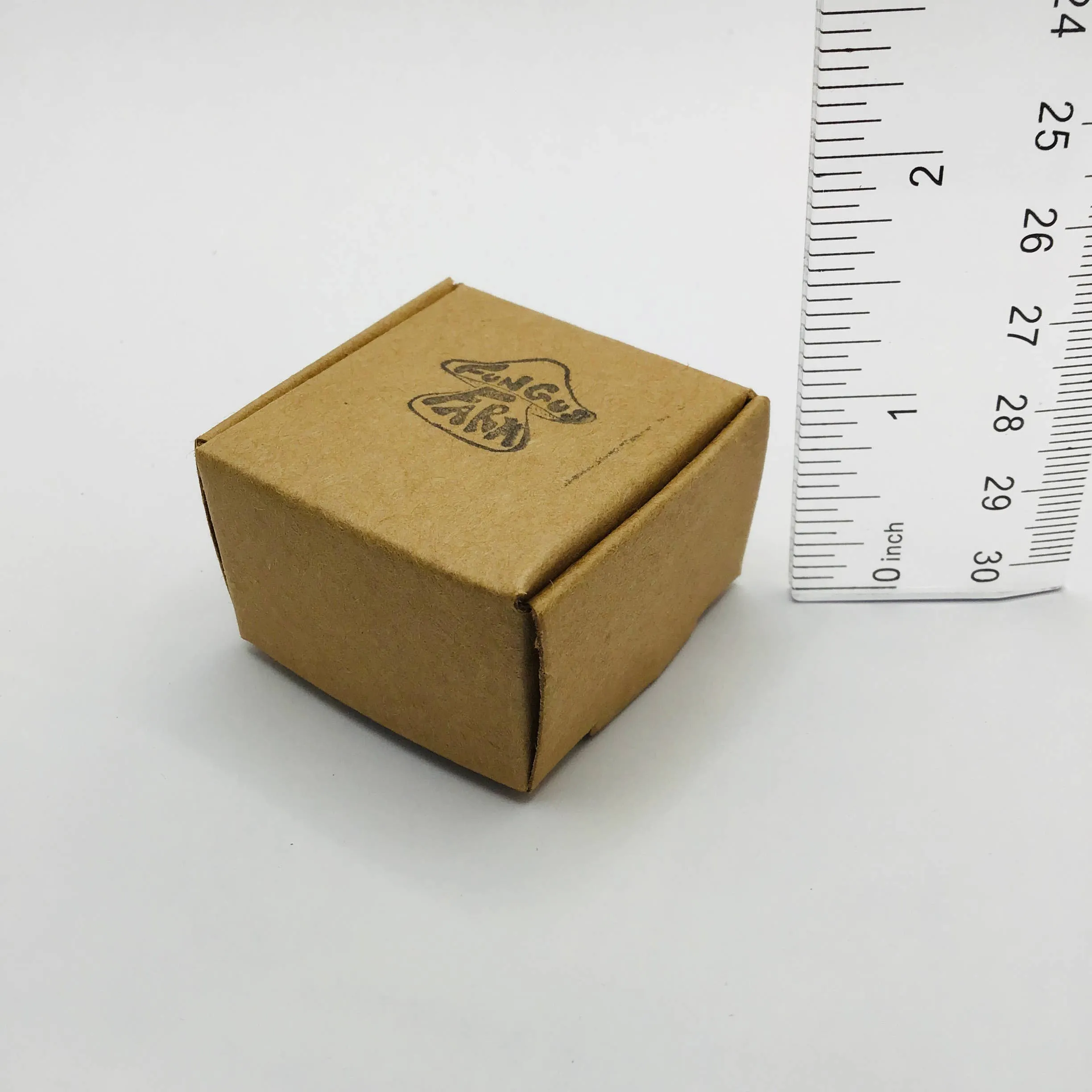 Mushroom Curiosity Jar Real Fungi Curio 1.25"
