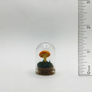 Mushroom Curiosity Jar Real Fungi Curio 1.25"
