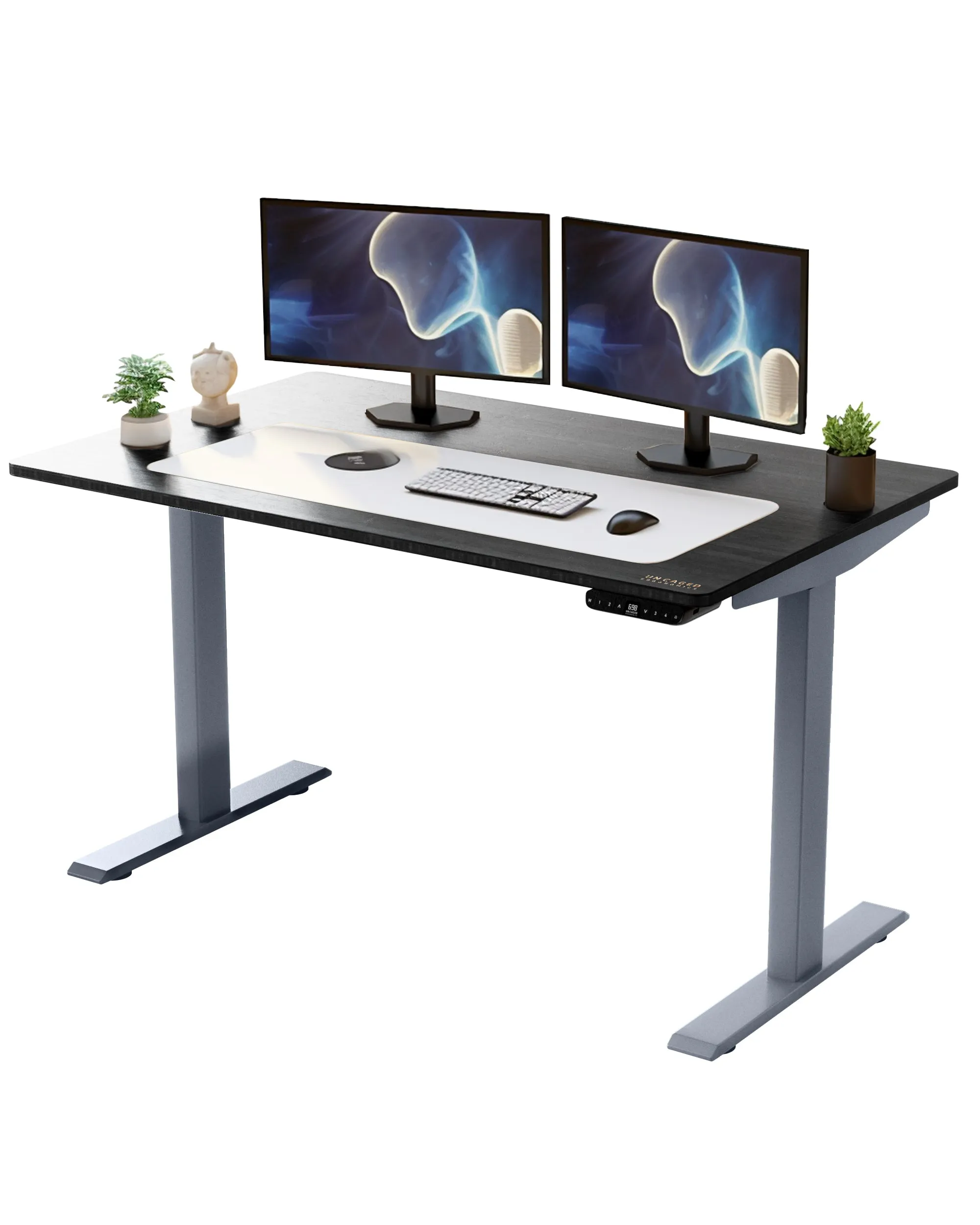 Rise Up - electric adjustable height standing desk