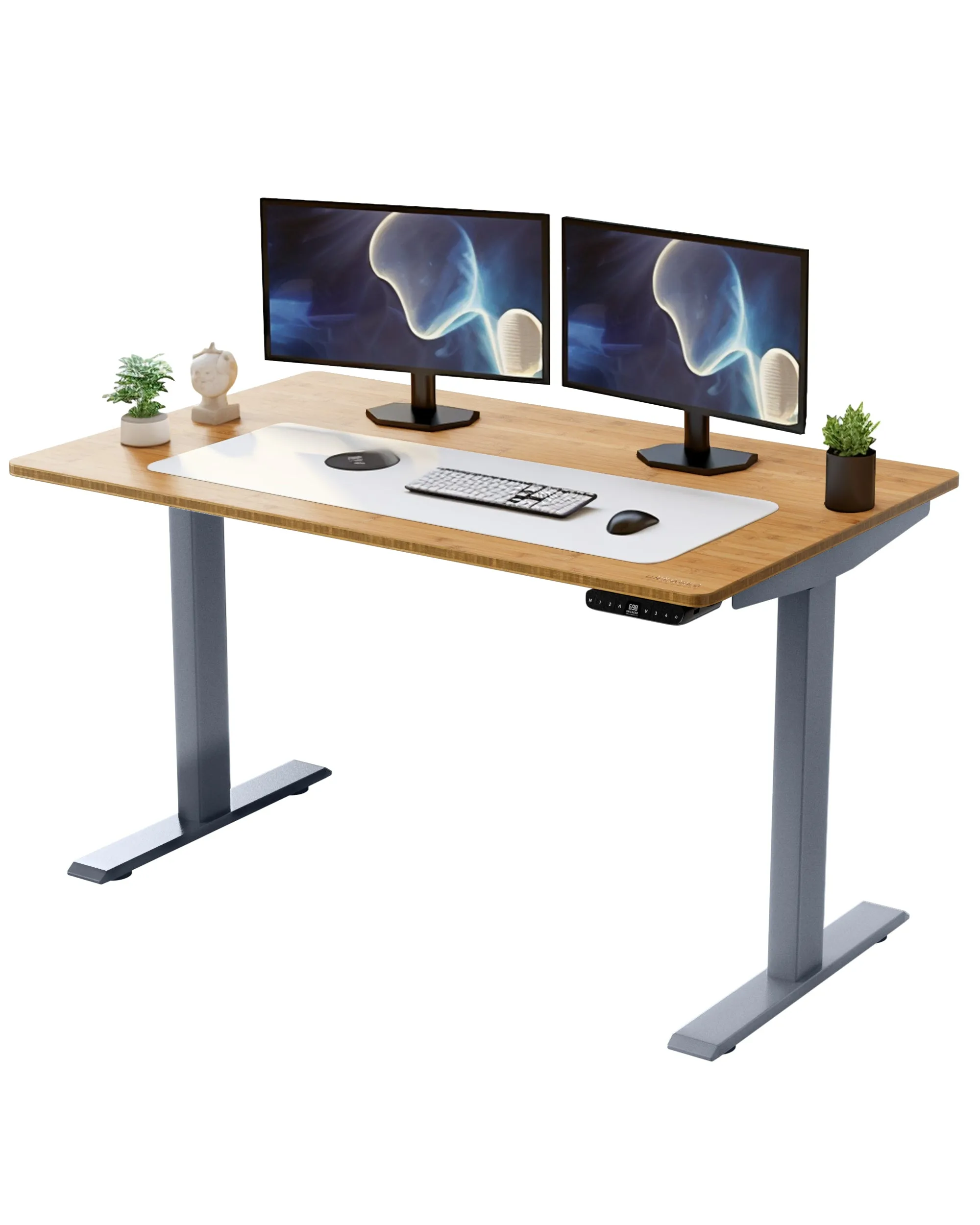 Rise Up - electric adjustable height standing desk