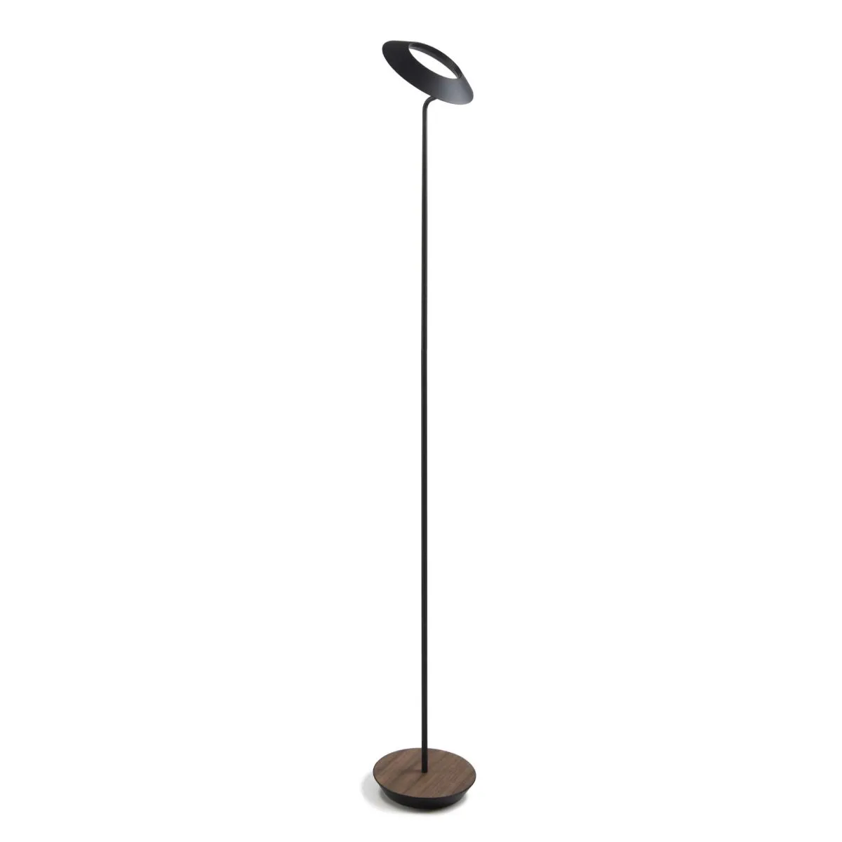 Royyo Matte Black with Oiled Walnut Contemporary LED Floor Lamp with USB Port