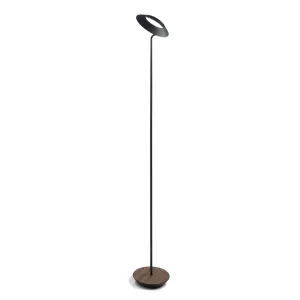 Royyo Matte Black with Oiled Walnut Contemporary LED Floor Lamp with USB Port