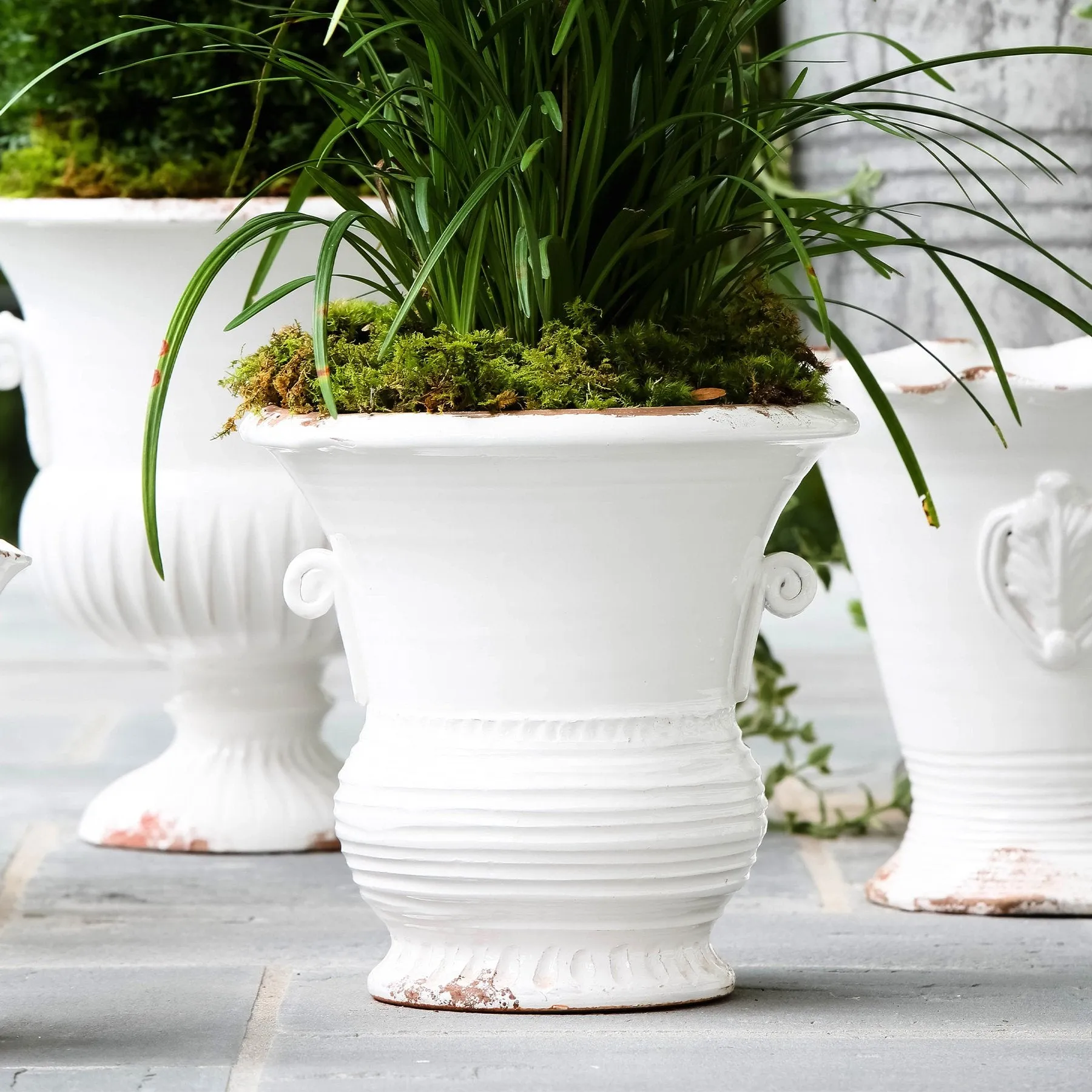 Rustic Garden White Medium Flair Planter
