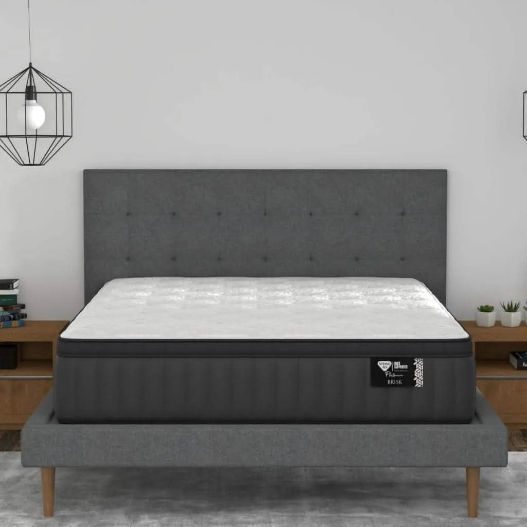 Spring Air Brisk Mattress