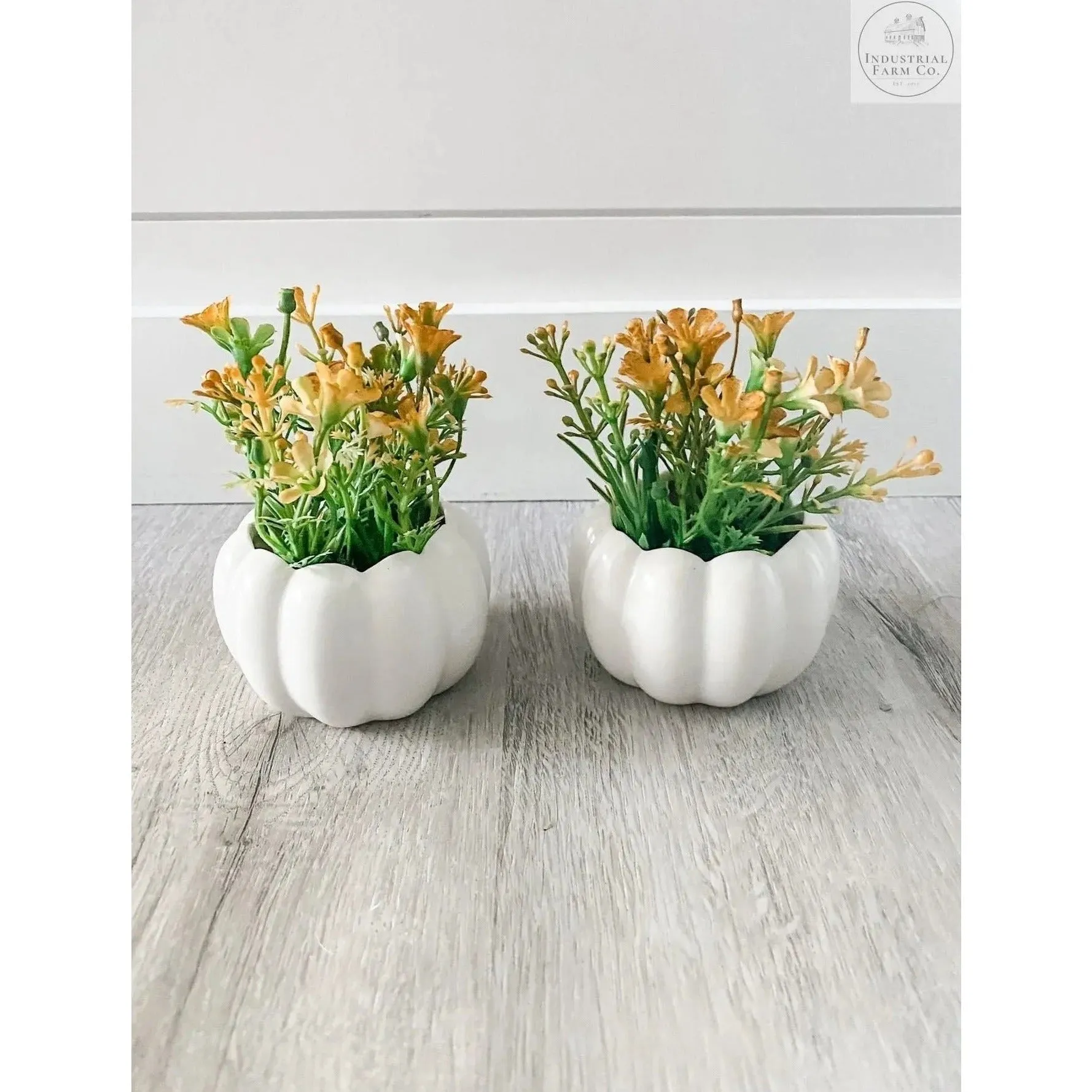 Unique Ceramic Pumpkin Planter