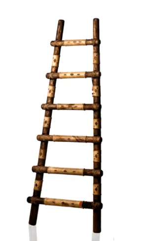 WOODEN LADDER W/ RAWHIDE ACCENT